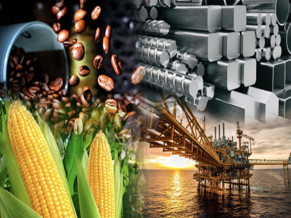 Hình ảnh giới thiệu